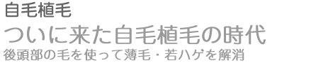 ���ӿ��ӡ���Ƭ�����Ӥ�Ȥä����ӡ���ϥ�����