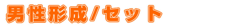男性形成