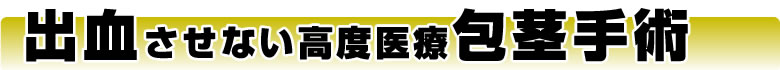 美しく痩せる究極の痩身プログラム